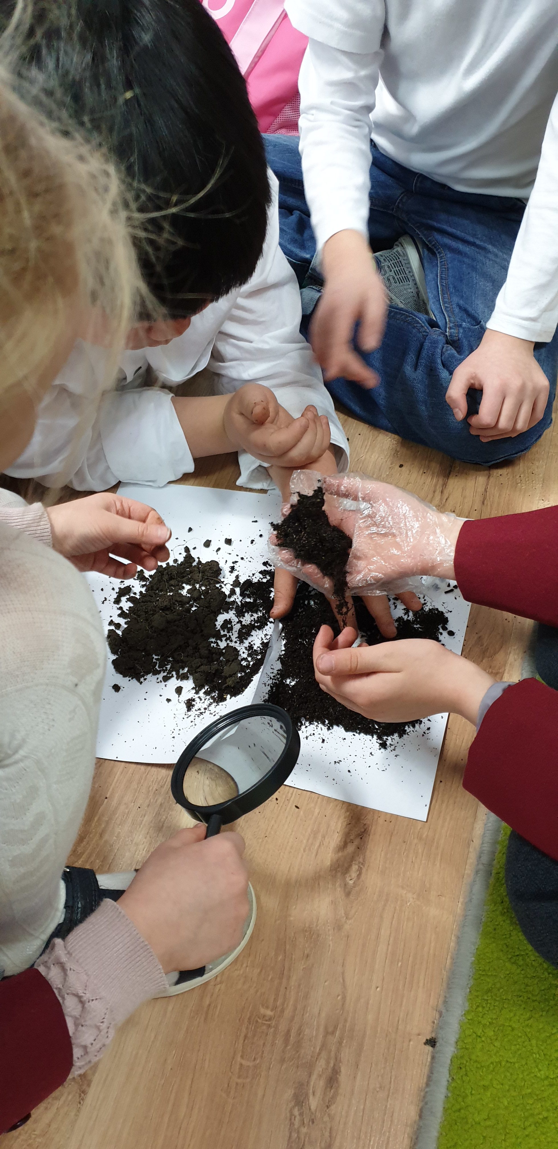 First grades learn about the properties of the soil
