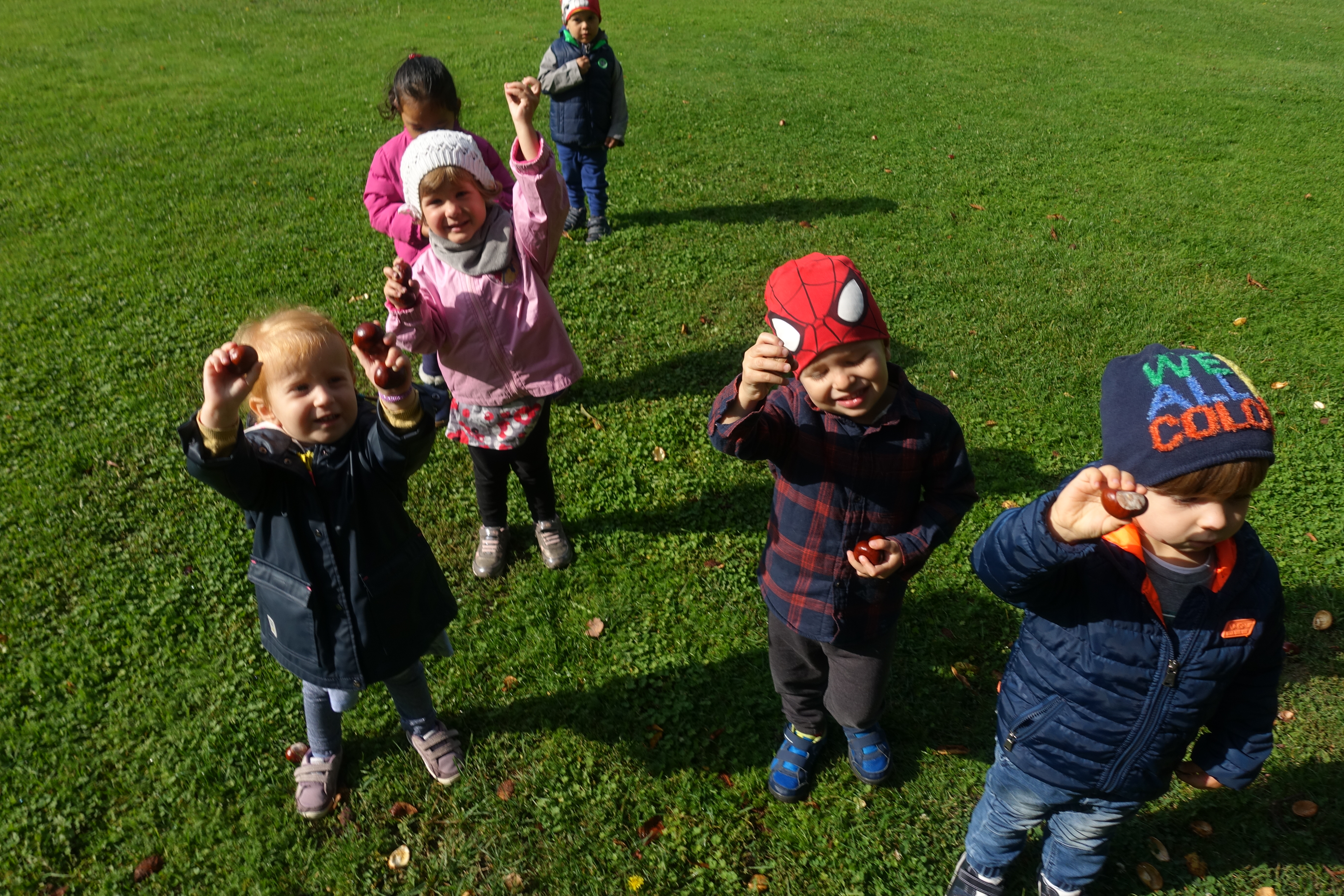 Autumn in Bold Bears group